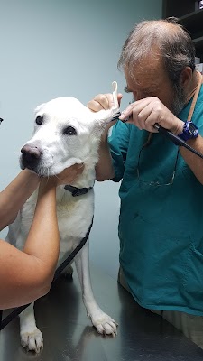 חוות דעת באר שבע מיסודו של ד"ר ברנע