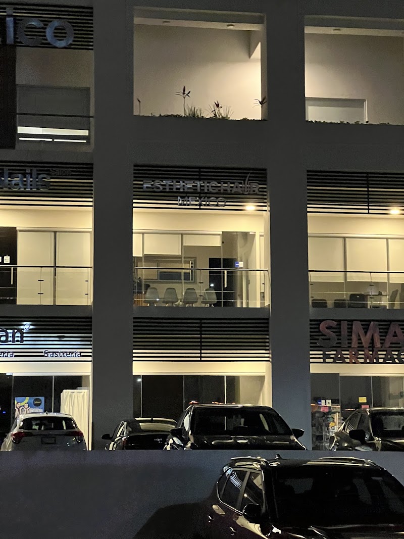 Gallery 5