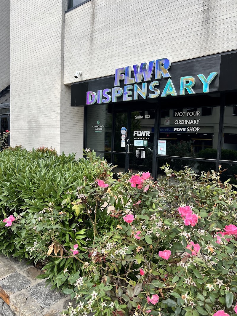Video tour of FLWR Dispensary - Recreational & Medical Cannabis Towson retail environment