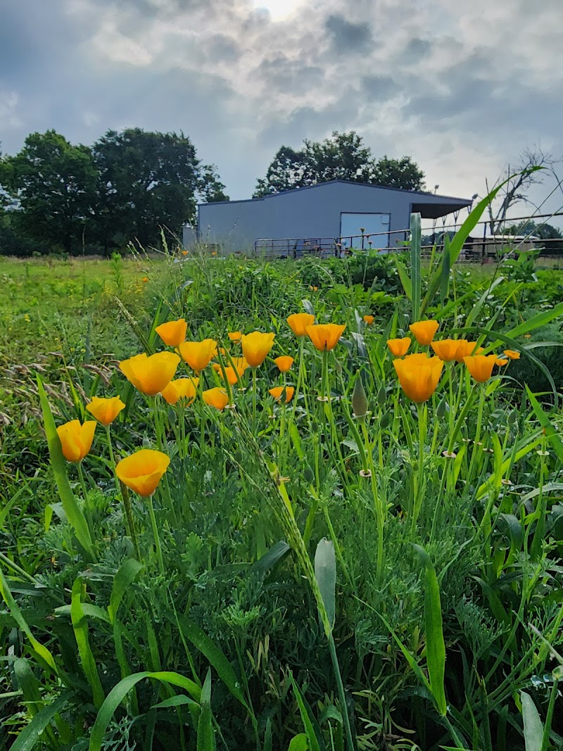 Blue Mountain Farm - Photo 6