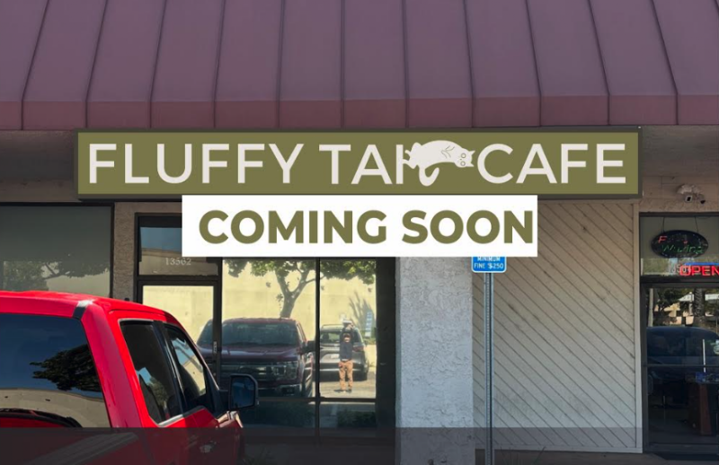 Fluffy Tail Cafe