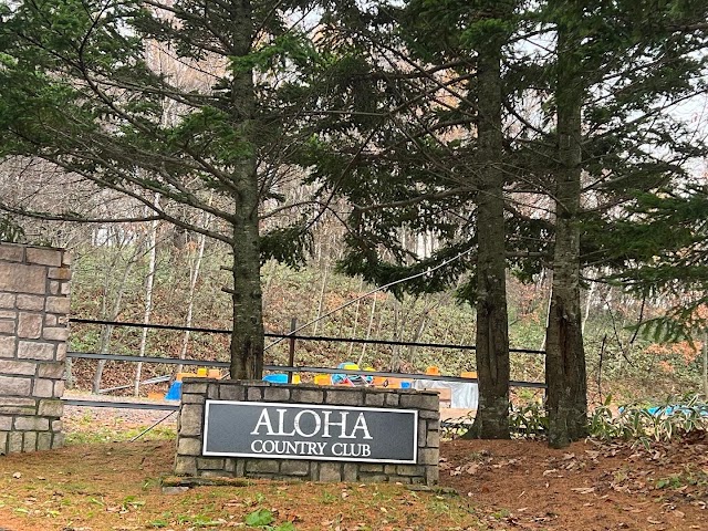 Aloha Resort - Photo 9