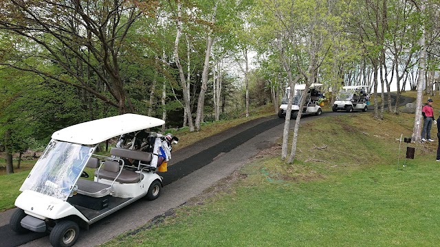 Aloha Resort - Photo 6