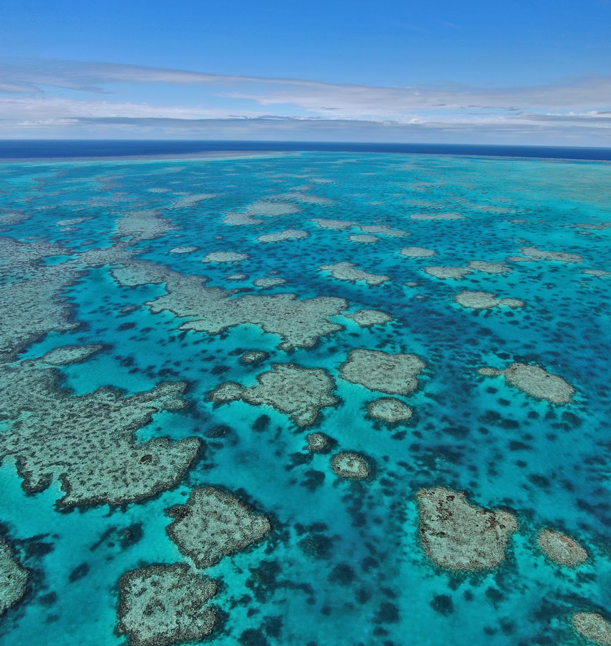 Whitsundays Sailing Adventures