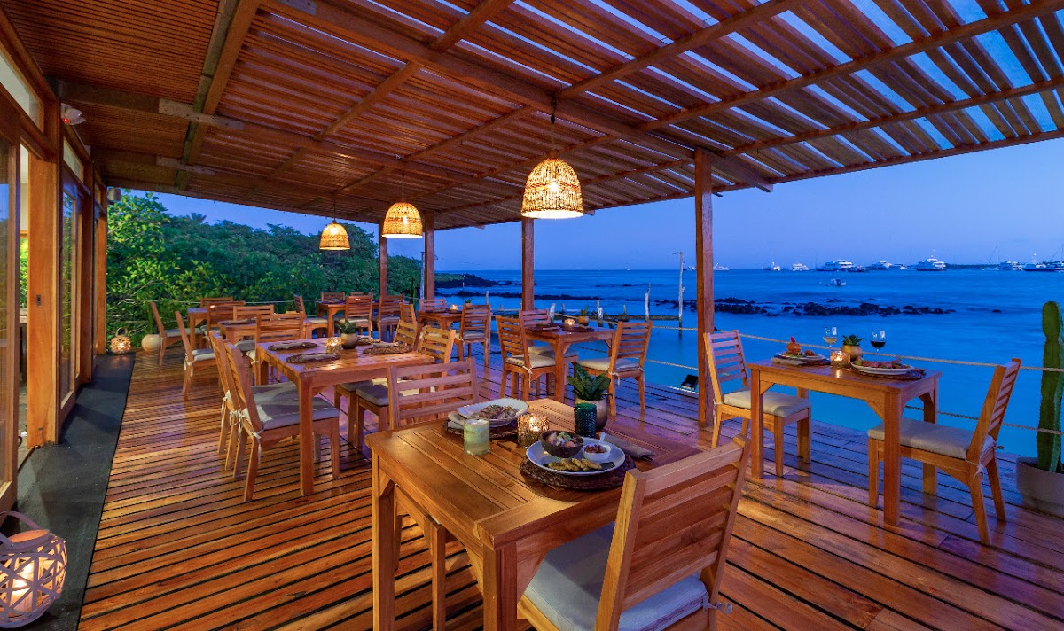 Almar in galapagos-islands