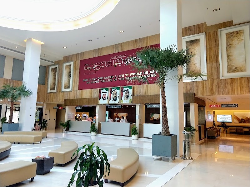 Gallery 2