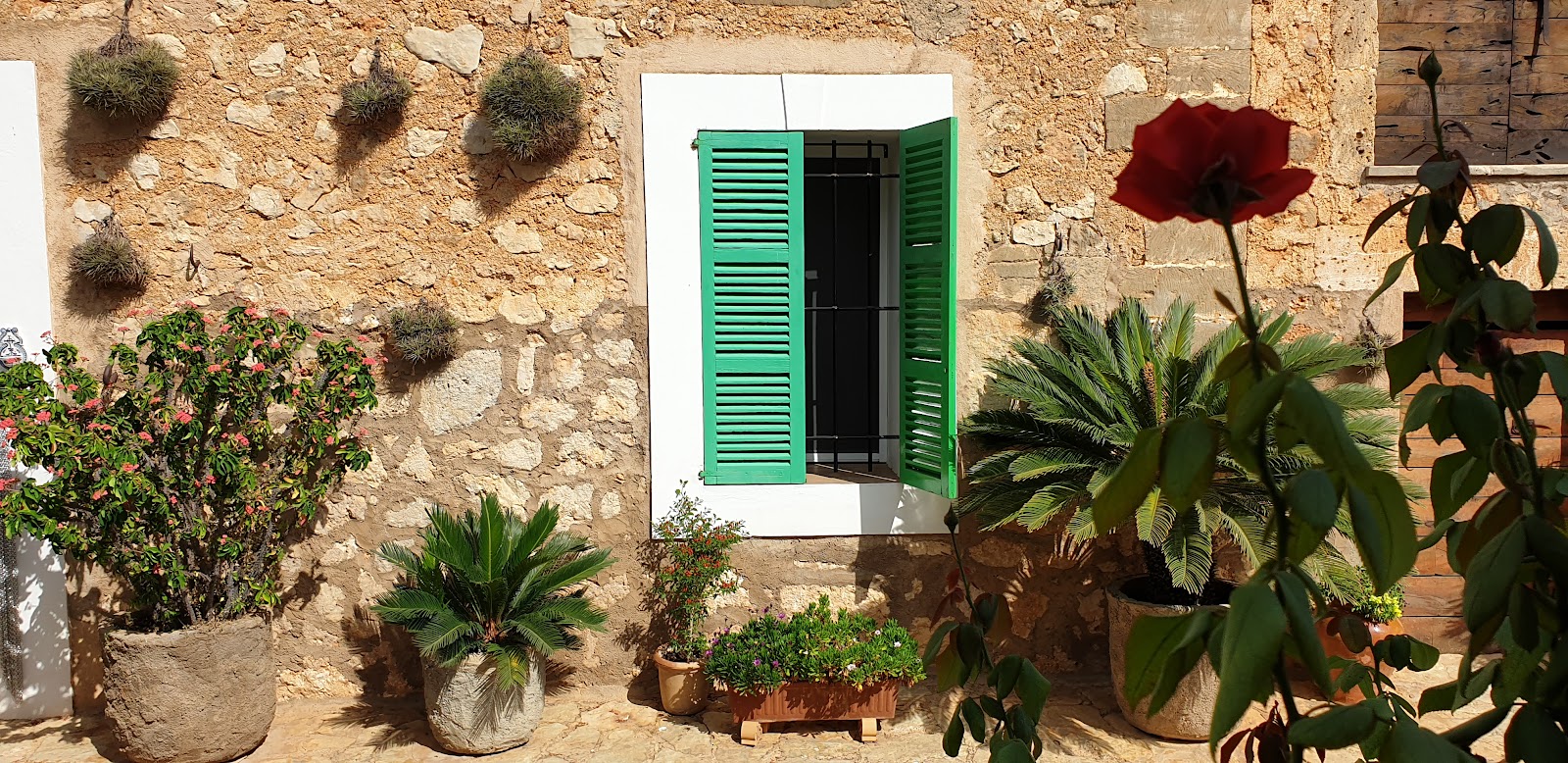 Agroturisme Son Soler Vell