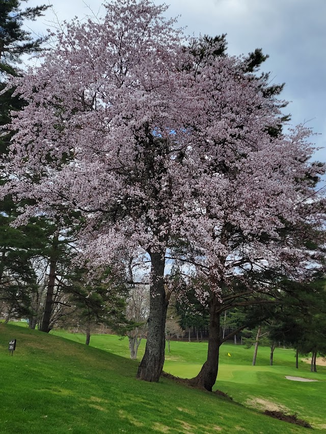 Tsugaru Kogen Golf Course - Photo 8