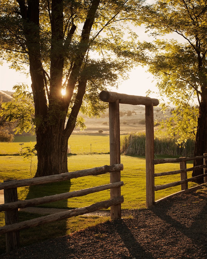 Wilson Ranches Retreat - Photo 6