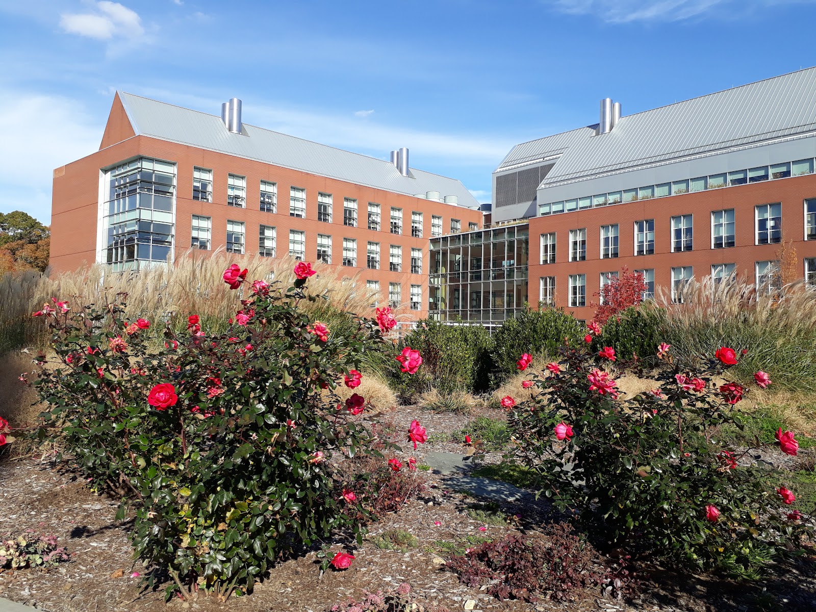 ロードアイランド大学（University of Rhode Island）（Kingston、ロードアイランド州）