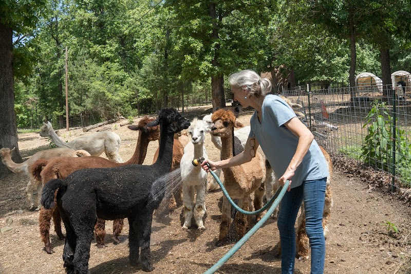 Lake Lucerne Resort and Ranch - Photo 3