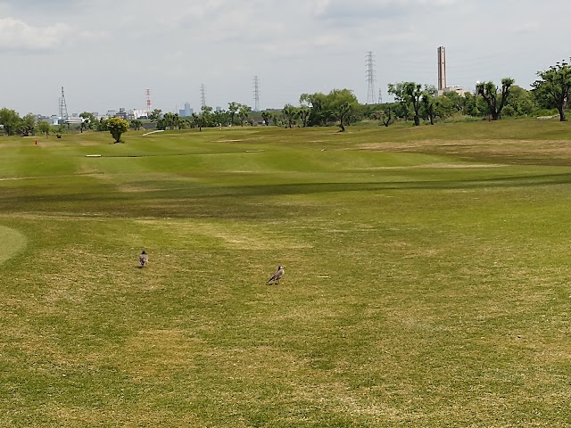 Toda Public Golf Course - Photo 1