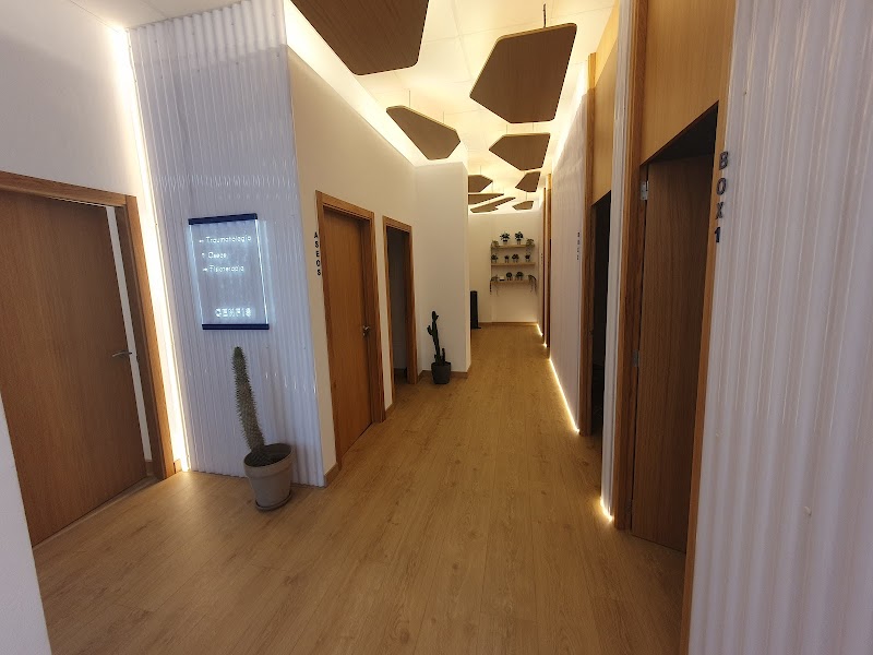 Clinica de traumatologia y fisioterapia CENFIS photo 2