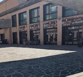 FitActive Bergamo via Tremana