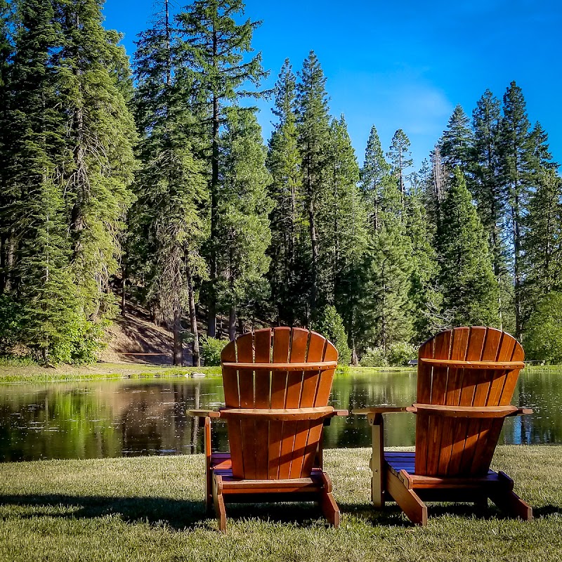 Greenhorn Ranch - Photo 5