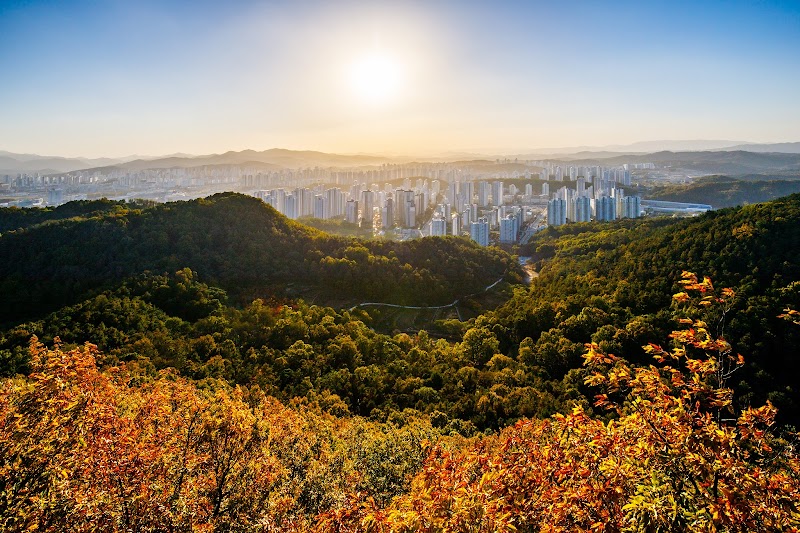 원수산 반려동물 동반 여행지