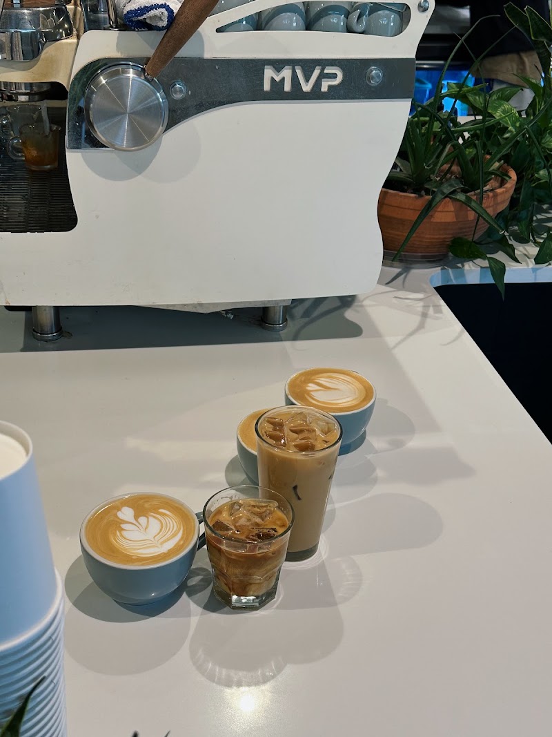 Little Bear Coffee - Uptown photo 2