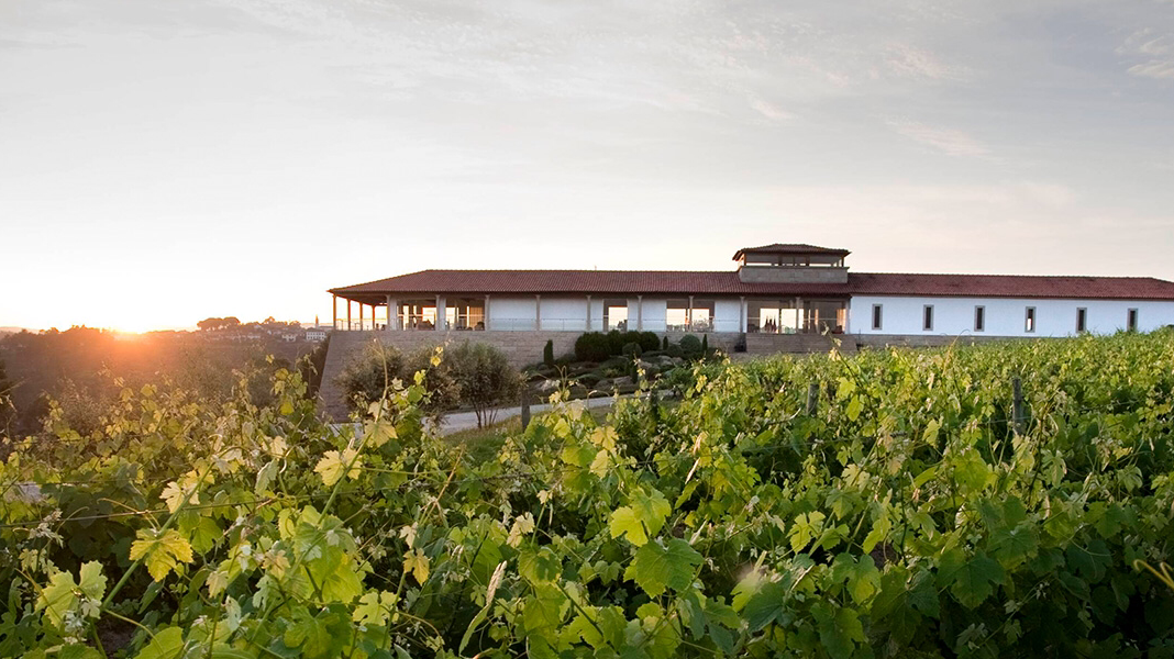 Quinta de Lemos
