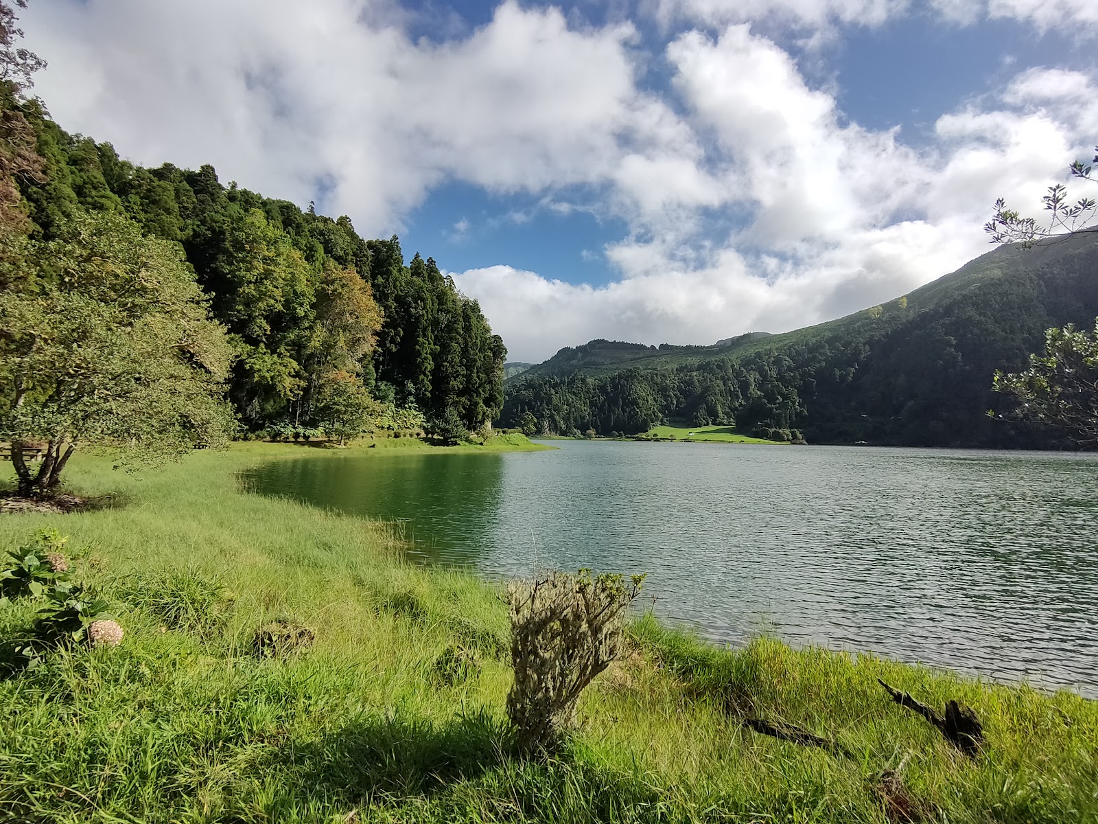 Best Dog-Friendly Hotels in Azores, Portugal