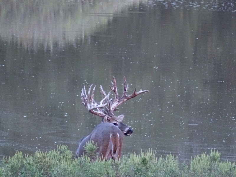 Squaw Mountain Ranch - Photo 4