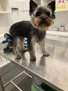 Clínica Veterinaria Ana Vet