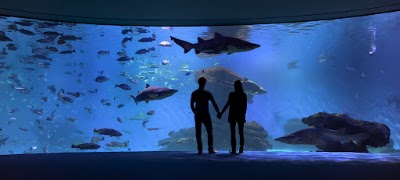 Palma Aquàrium