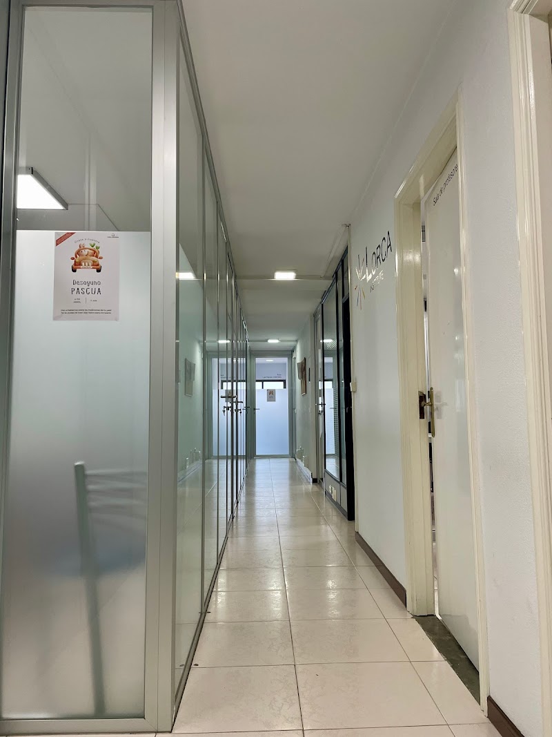 Lorca Institute photo 2