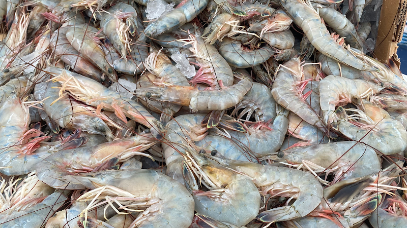 Just Mike’s At JM’s Place - Seafood and Grocery