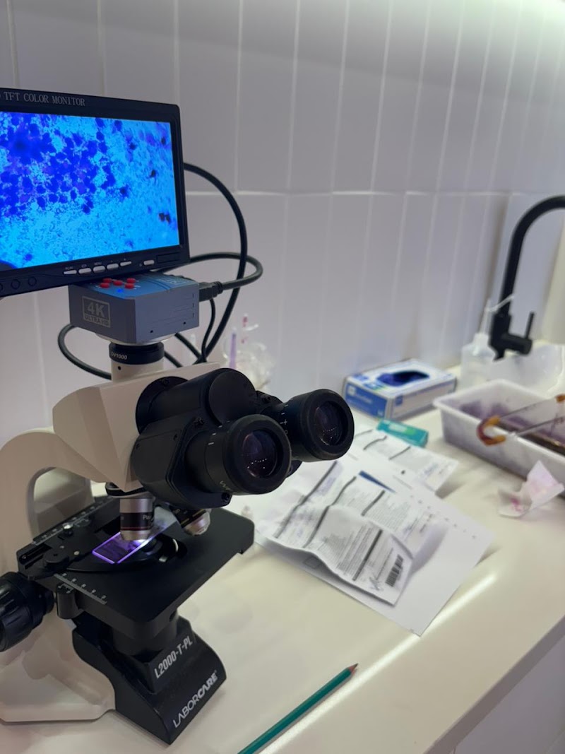 Foto de Dra Brenda Rios Ginecologia e Obstetrícia