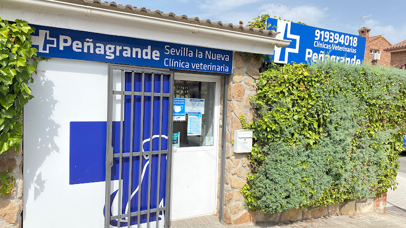 Clínica Veterinaria Sevilla la Nueva