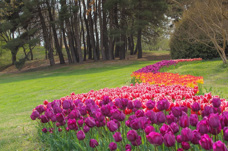 Екопарк Варна