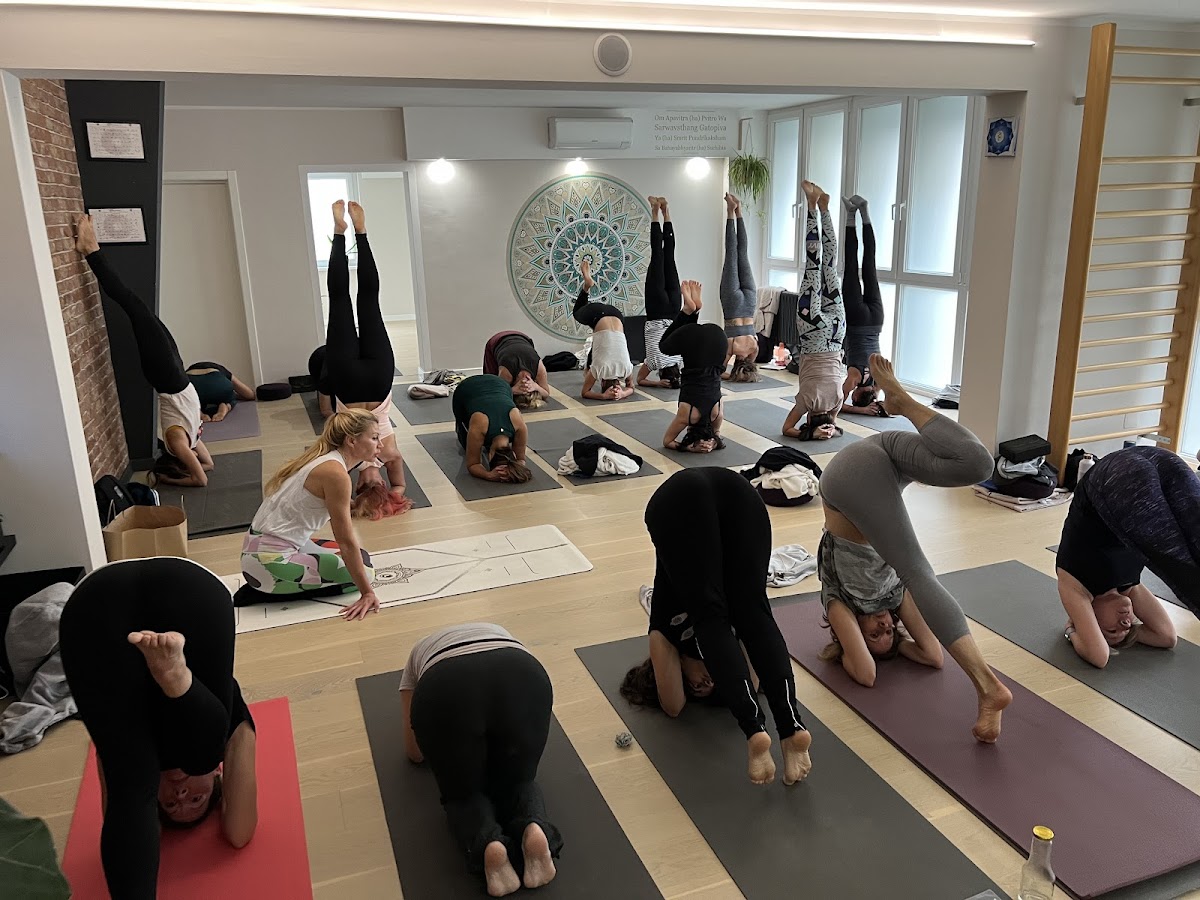 DharmaWay Yoga Center & Yoga Academy — 3