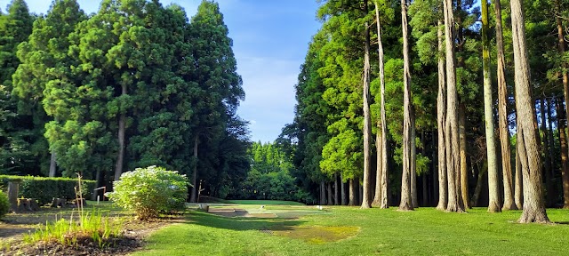 Golf Partner Chiba Short Course - Photo 10
