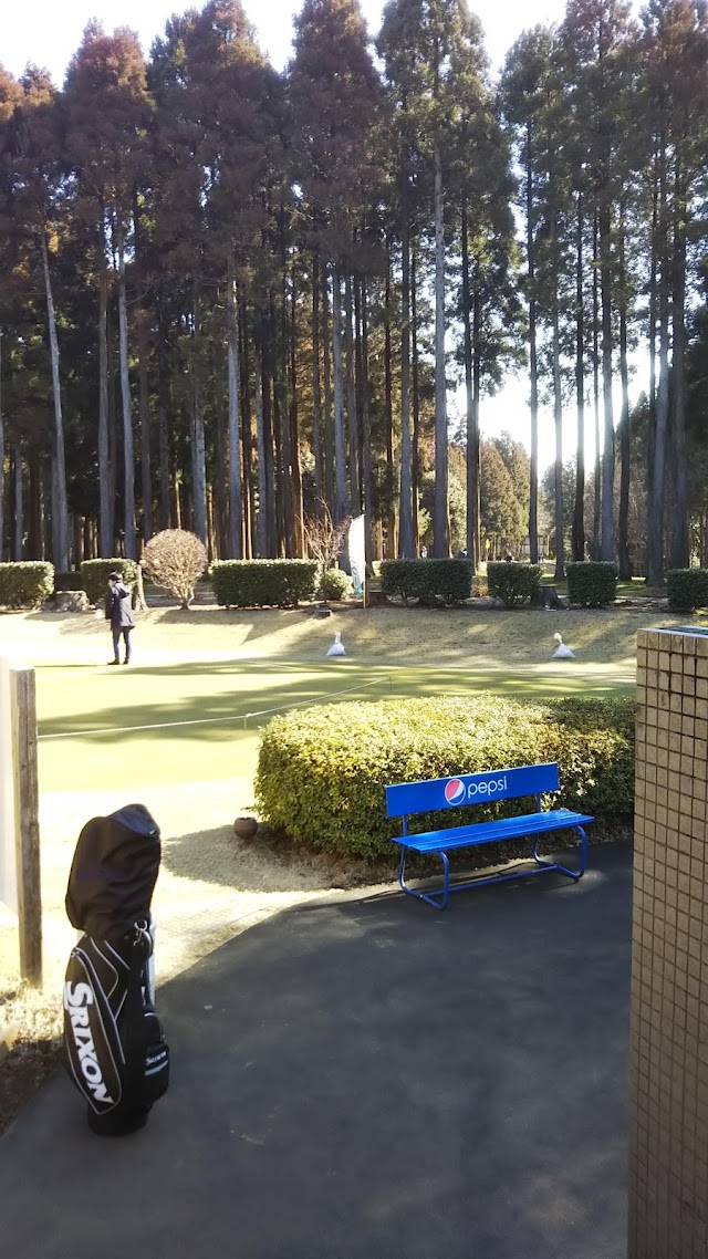 Golf Partner Chiba Short Course - Photo 7