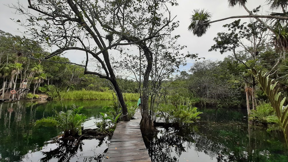 Cenote Corazón del Paraíso fotoğraf 1
