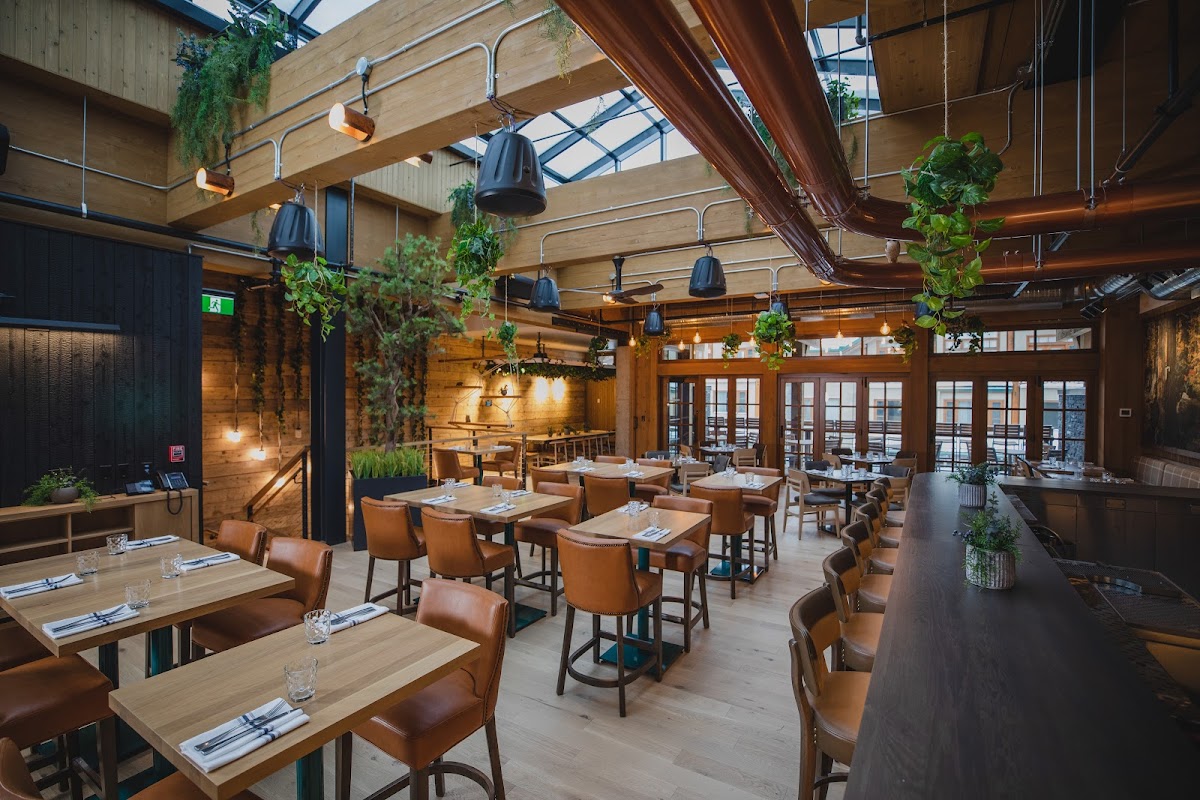 Three Bears Brewery & Restaurant in banff