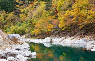 Nikko Art Museum - 3