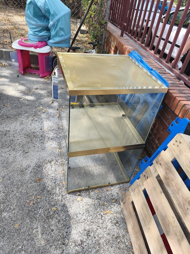 Majadahonda Gymnastics School