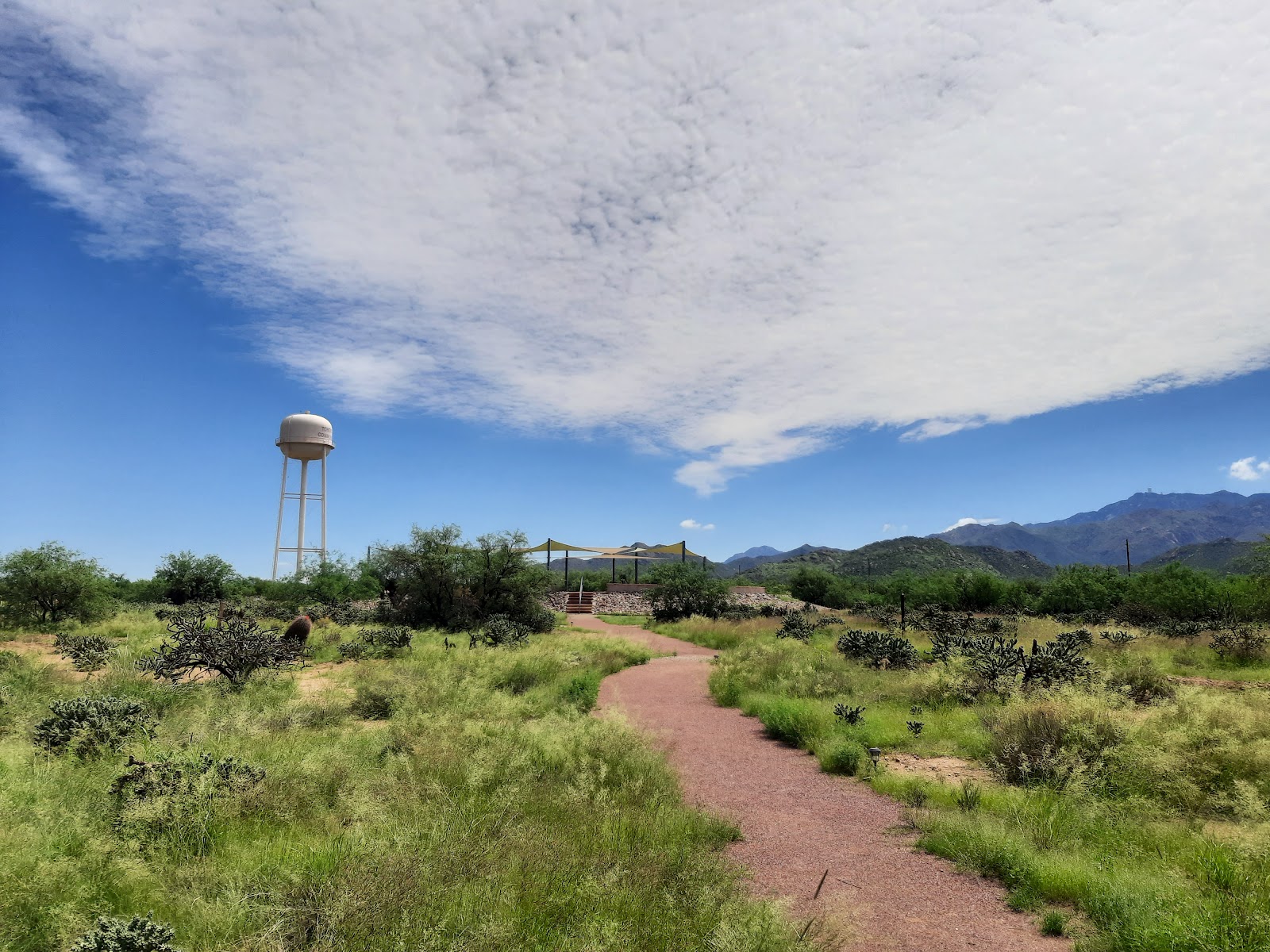 Tohono O'odham Community College（Sells、アリゾナ州）