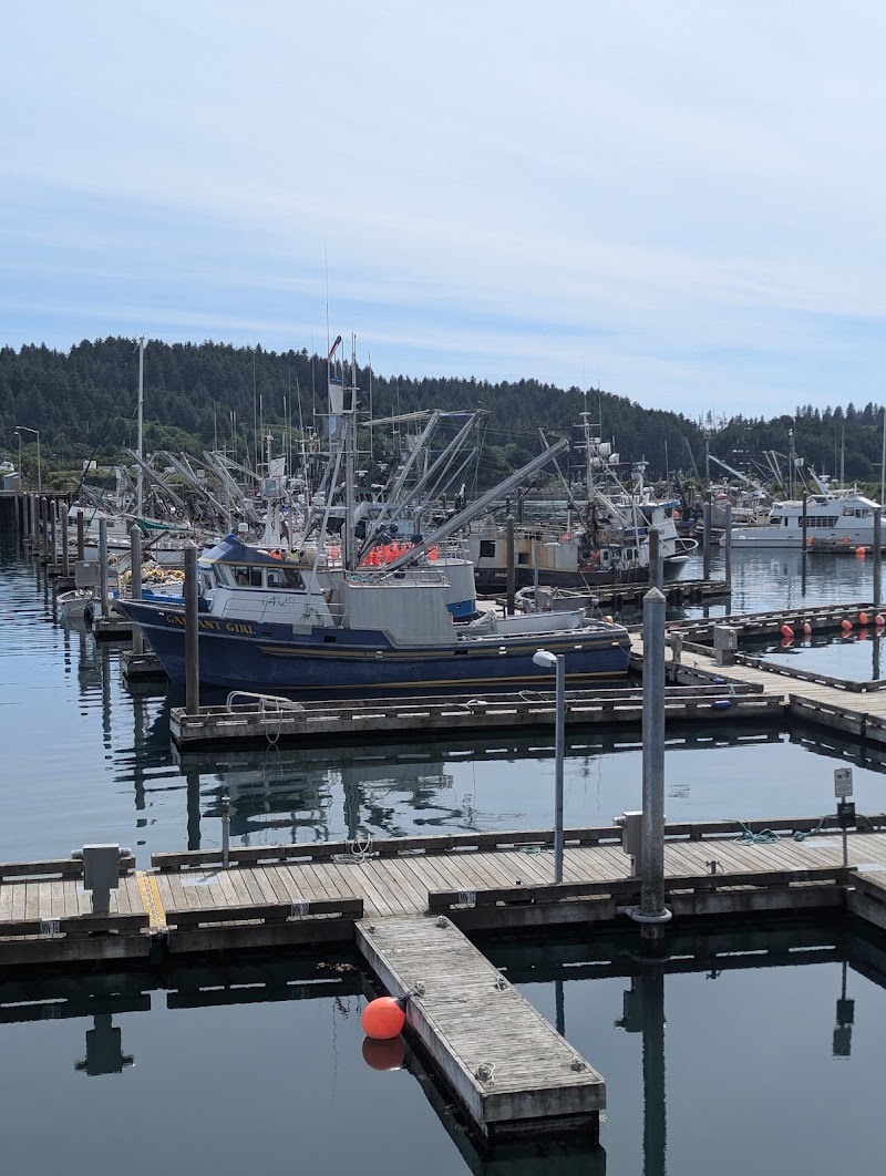 Harborside Coffee & Goods photo 3