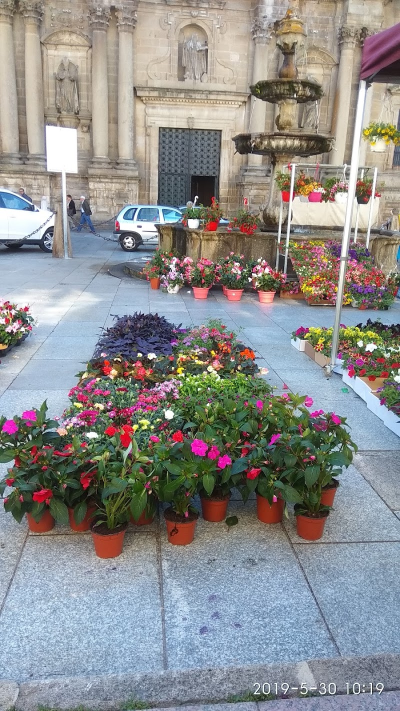 Mercadillo de Celanova photo 4
