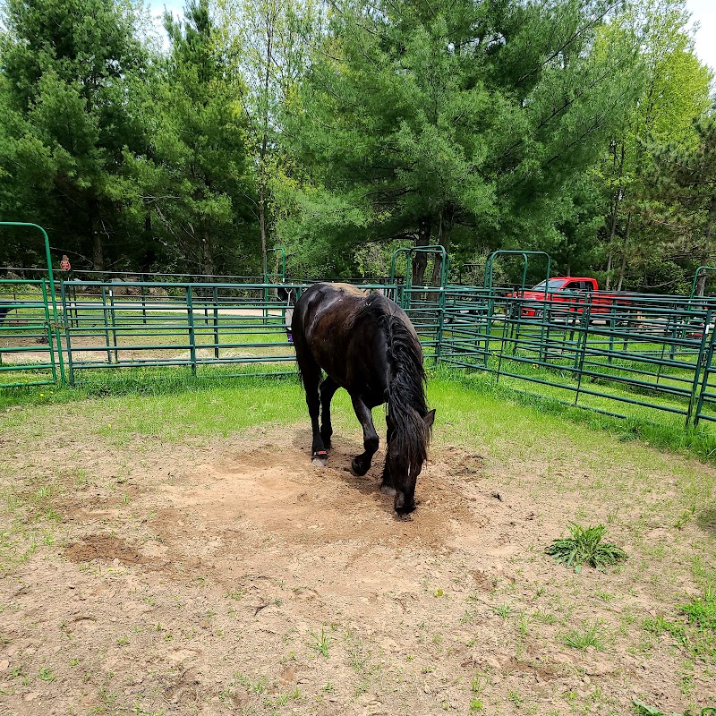Spur of the Moment Ranch, LLC - Photo 2