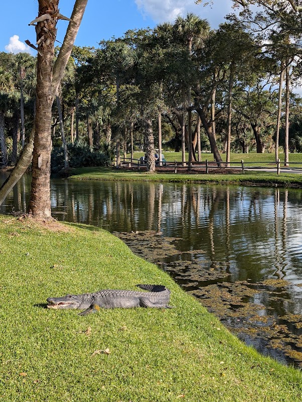 Cherrywood BBQ & Ale House photo 3