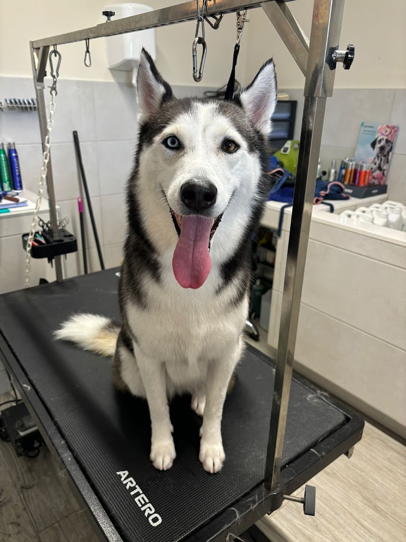 Clínica Veterinaria Can Banach