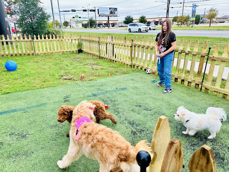 Coquí Café photo 4