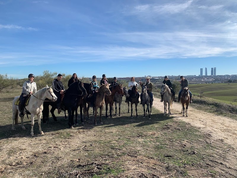 Centro Ganadero de Caballos