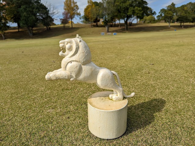 Country Club The Lakes - Photo 8