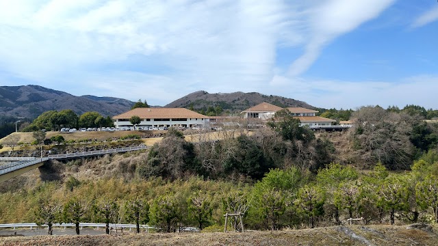 Country Club The Lakes - Photo 10