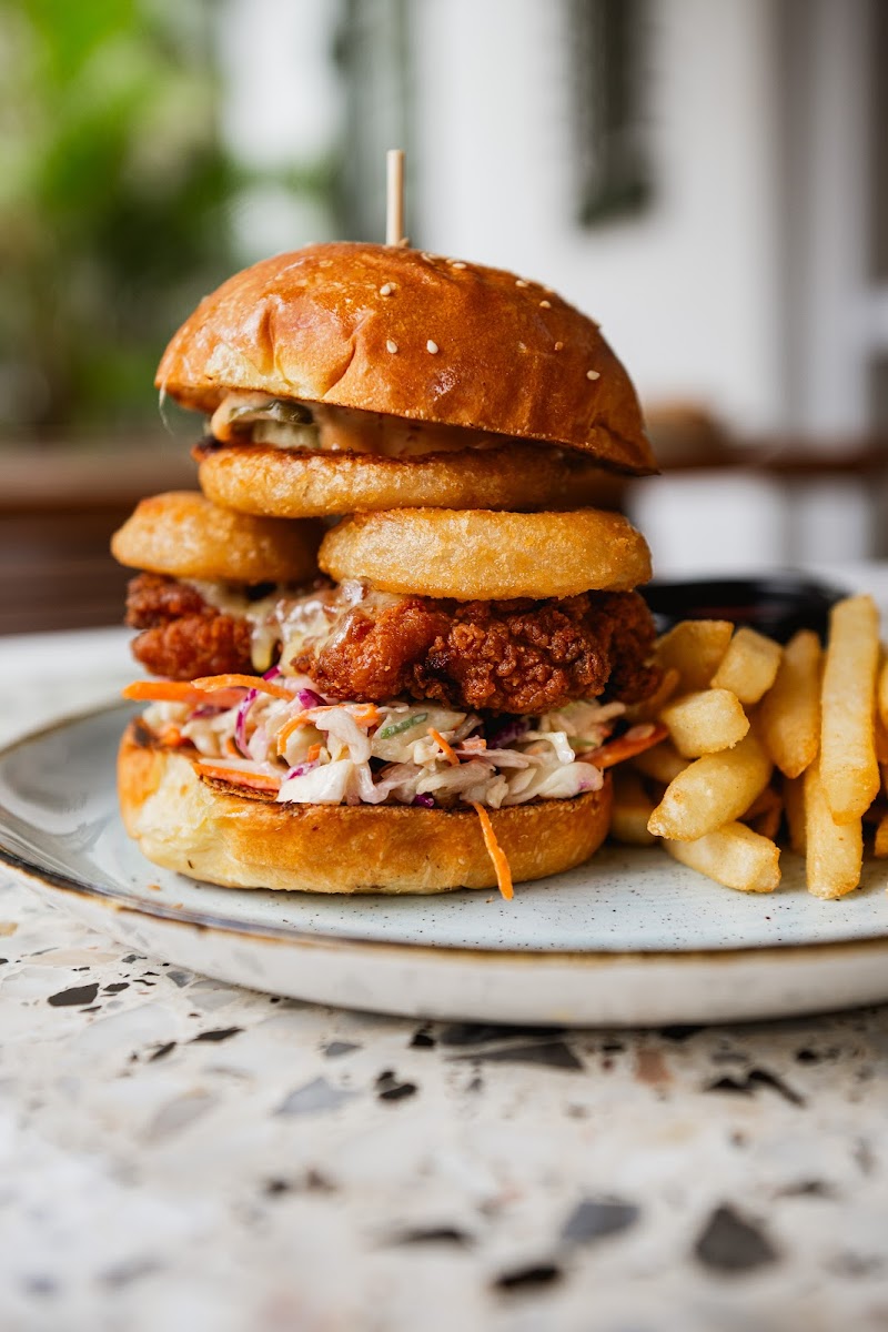 The Manly Club on Gilbert Park photo 2