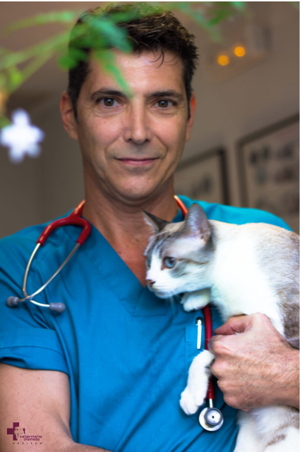 Veterinaria Alameda Sevilla